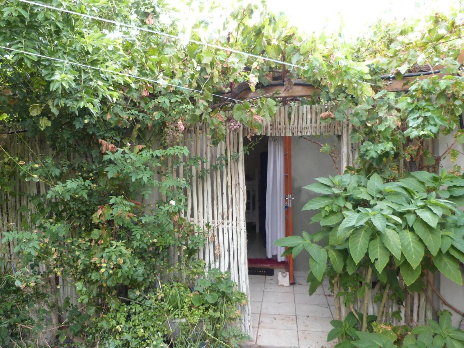 Apartament Hannah'S Haven Studio Deluxe - No Loadshedding Beaufort West Zewnętrze zdjęcie